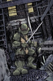 Cliquez pour voir une couverture de  Teenage Mutant Ninja Turtles