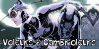 Acc�der au th�me BD Voleurs et cambrioleurs