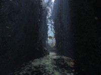 Les paysages inspirés de la jungle sud-américaine sont souvent magnifiques.