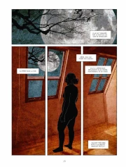 Une planche de la série Zone critique